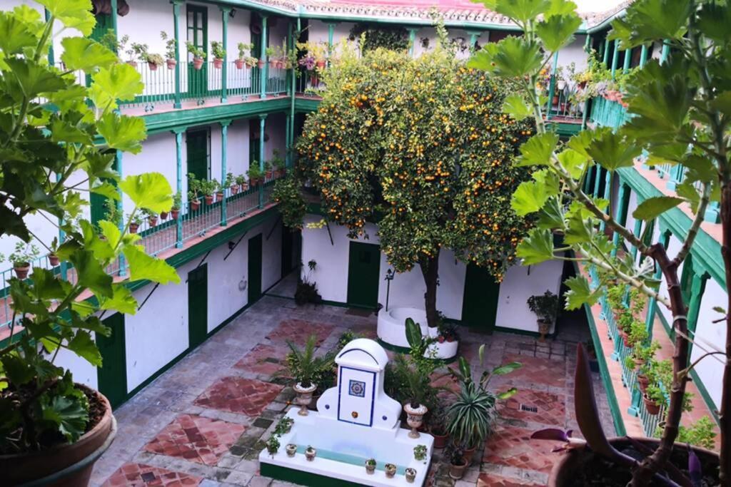 Alcazares Sevilla Centro מראה חיצוני תמונה