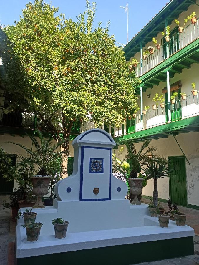 Alcazares Sevilla Centro מראה חיצוני תמונה